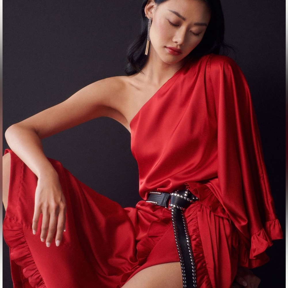 NWT - One-Shoulder Ruffled Dress - Picture 7 of 8